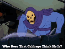 Skeletor Who Does That Cabbage Think He Is GIF - Skeletor Who Does That Cabbage Think He Is Cabbage GIFs