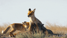 Feeding Our Living World GIF - Feeding Our Living World Protecting GIFs