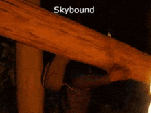 Chiken Koop Skybound GIF