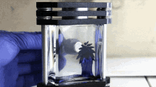 Ferrofluid Magnet GIF - Ferrofluid Magnet GIFs