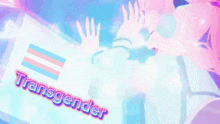 a transgender sign with a pink and blue striped flag on it