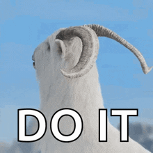 a picture of a goat says do it