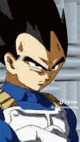 Im Not A Big Fan Of The Goverment Vegeta GIF - Im Not A Big Fan Of The Goverment Vegeta Piccolo GIFs