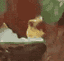 a duck is sitting on top of a tree branch .