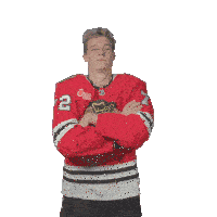 a hockey player wearing a red jersey with the number 2 on it