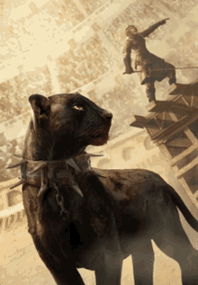 Menagerie Keeper Gwent GIF - Menagerie Keeper Gwent Panther GIFs