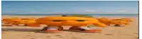 a group of orange cartoon characters standing on a beach