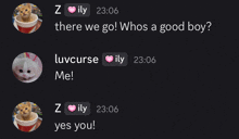 a screenshot of a text message between z ily and luvcurse