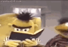 Studying Bert GIF - Studying Bert Muppets GIFs