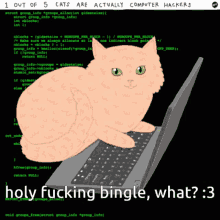Cat Bingle GIF - Cat Bingle Hacking GIFs