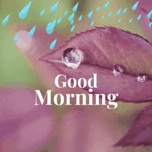 Good Morning Good Morning Images New 2023 GIF - Good Morning Good Morning Images New 2023 Good Morning Rain GIFs