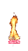 a picture of a fire with the website witchwholesale.eu