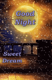 moonlight good night moon sleep