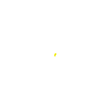 you yellow