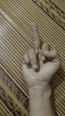 Fu Middle Finger GIF - Fu Middle Finger Flip Off GIFs