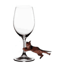 flying cat wine glass
