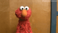 Elmo Shrug GIF - Elmo Shrug 不造 GIFs