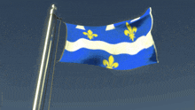 a blue and white flag with yellow fleur de lis emblems