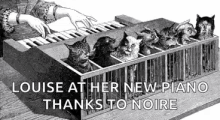 Cats Chorus GIF - Cats Chorus Keyboard GIFs