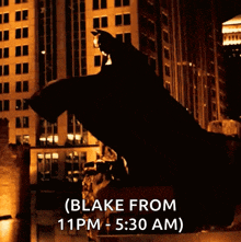 a picture of blake from 11 pm - 5:30 am is displayed