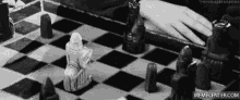 Harry Potter Smack GIF - Harry Potter Smack Chess GIFs