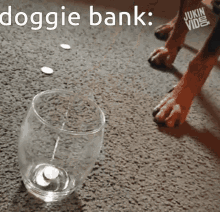 Doggie Bank Coins GIF - Doggie Bank Coins Dog GIFs