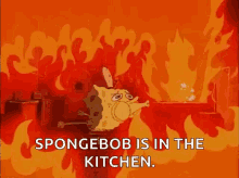 Spongebob Fire GIF - Spongebob Fire Squarepants GIFs