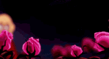 80s animation nelvana angel roses