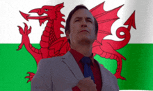 a man in a suit stands in front of a flag with a red dragon on it