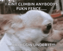 I Aint Climbin Anybodys Fence Diggin Under It GIF - I Aint Climbin Anybodys Fence Diggin Under It GIFs