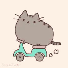 Driving Cats GIF - Driving Cats Funny GIFs