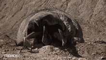 Dying Monster GIF - Dying Monster Sandworm GIFs