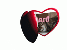 two red heart shaped cards with the words yeti4ka and hard