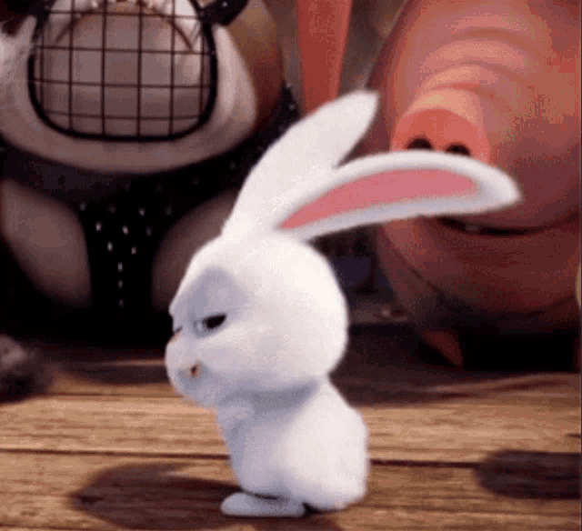 Видео где кролик. Тайная жизнь домашних животных кролик. Кролик из мультика. Кролики гифки.