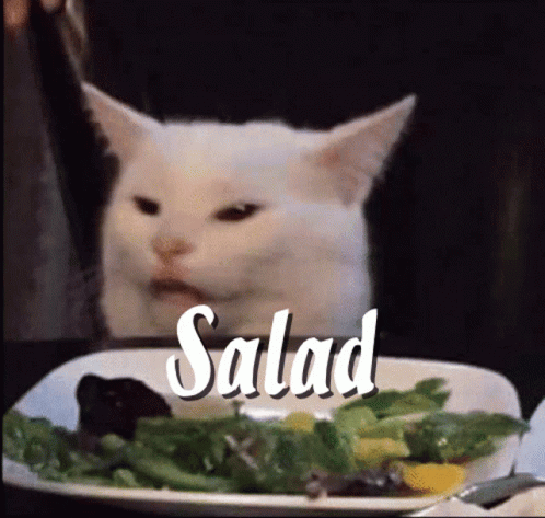 Salad Cat GIF - Salad Cat Disgusted GIFs
