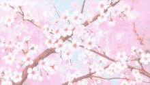 Sakura Anime GIF - Sakura Anime Pink GIFs