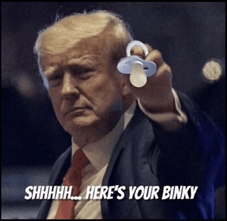 Trump 2024 Meme - Trump 2024 - Discover & Share GIFs