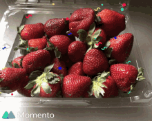 Food Strawberries GIF