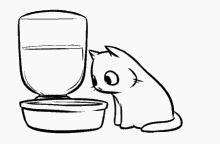 Cat Kirito GIF - Cat Kirito GIFs