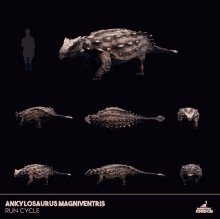 Prehistoric Kingdom Ankylosaurus Magniventris GIF - Prehistoric Kingdom Ankylosaurus Magniventris Running GIFs