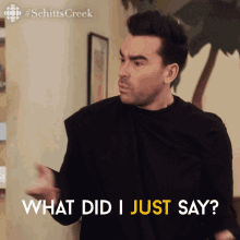 What Did I Just Say Dan Levy GIF - What Did I Just Say Dan Levy David GIFs