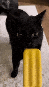 a black cat is eating a yellow popsicle on a table