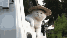 Car Window Car GIF - Car Window Car Cat Wearing Hat GIFs