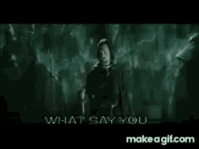 Aragorn What You Say GIF - Aragorn What You Say Say What GIFs