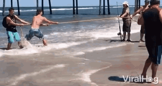 Pulling Rope GIF - Pulling Rope Beached - Discover & Share GIFs