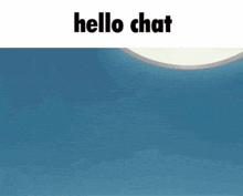 Sprigatito Sprigatito Hello Chat GIF - Sprigatito Sprigatito Hello Chat Sprigatito Hello GIFs