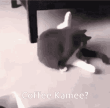 M_kamee M_coffee GIF - M_kamee M_coffee Coffee Kamee GIFs