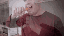 Stevie And The Snowflakes I Believe In Christmas GIF - Stevie And The Snowflakes I Believe In Christmas Eating A Carrot GIFs