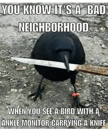 Crow With Knife GIF - Crow With Knife GIFs