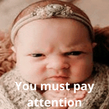 You Must Pay Attention GIF - You Must Pay Attention You Must GIFs